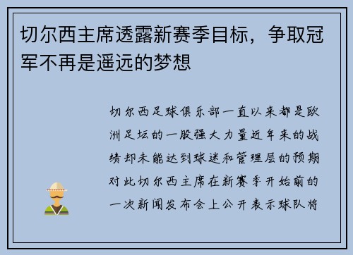 切尔西主席透露新赛季目标，争取冠军不再是遥远的梦想